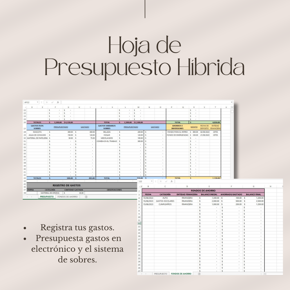 Hoja de PRESUPUESTO HÍBRIDA